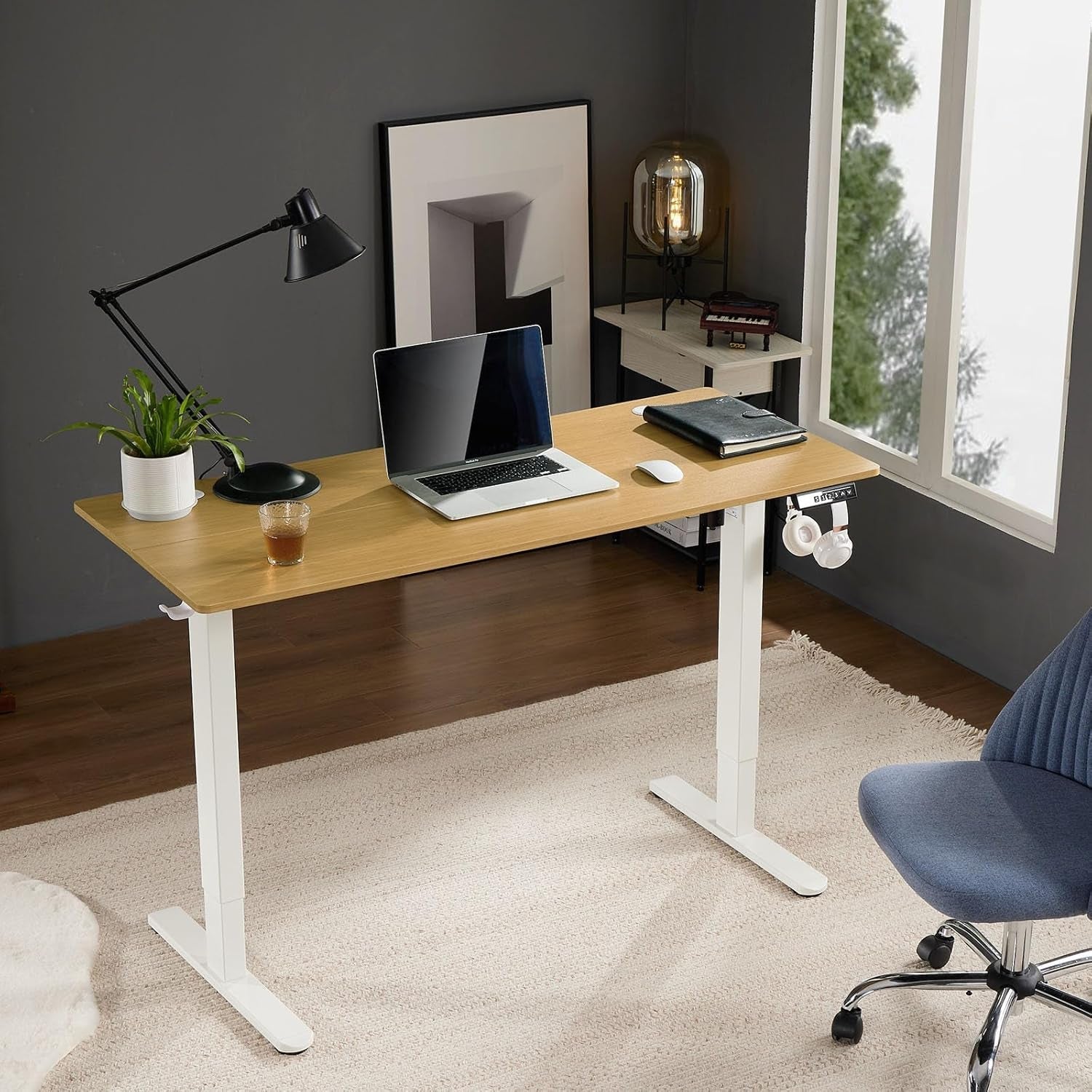 Electric Adjustable Height Standing Desk - 55 X 24 Inch Sit to Stand