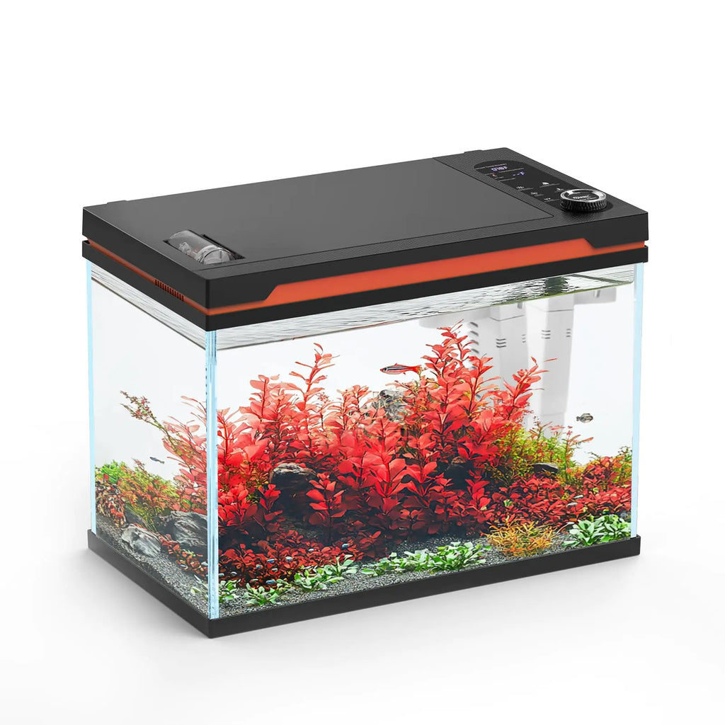 hygger 6 Gallon Smart Aquarium Starter Kit Glass Fish Tank with Auto On/Off 24/7 Mode LightHeaterWater PumpFilter MediaAuto FeederWater ChangerCleaning GlovesFish NetLocal Time/Timing Set