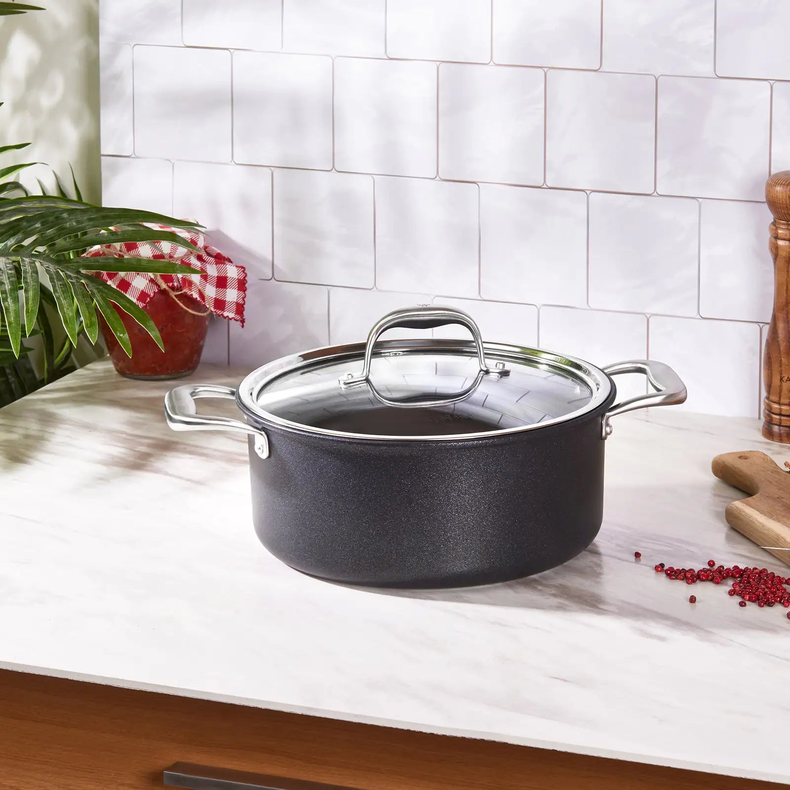Karaca Bio Diamond Pro Induction-Based Pot, 24 cm, 4.7 L