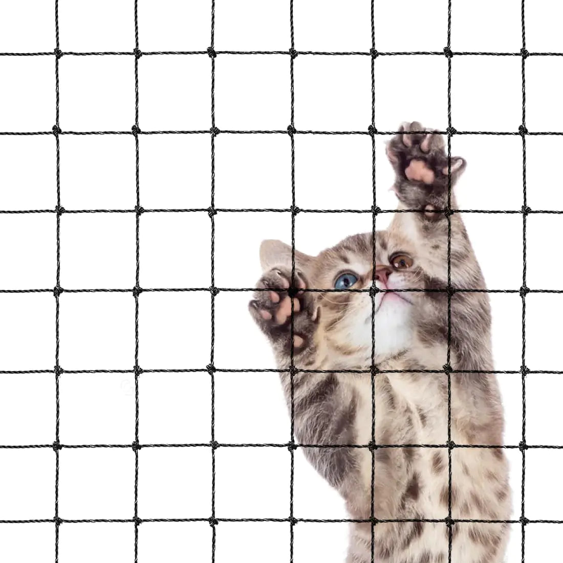Morimoe Cat Balcony Net Steel Wire Reinforced Anti-Fall Fence Safety Net Extra Strong (10 X 26 Ft)