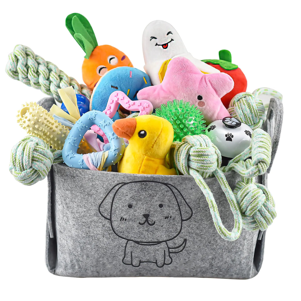 LECHONG 24-Pack Puppy Toys Set Small Dog Toys Puppy Teething Toys with A Storage Box Puppy Rope Toy Puppy Chew Toy Dog Toys for Small and Medium Dogs Playing and Training
