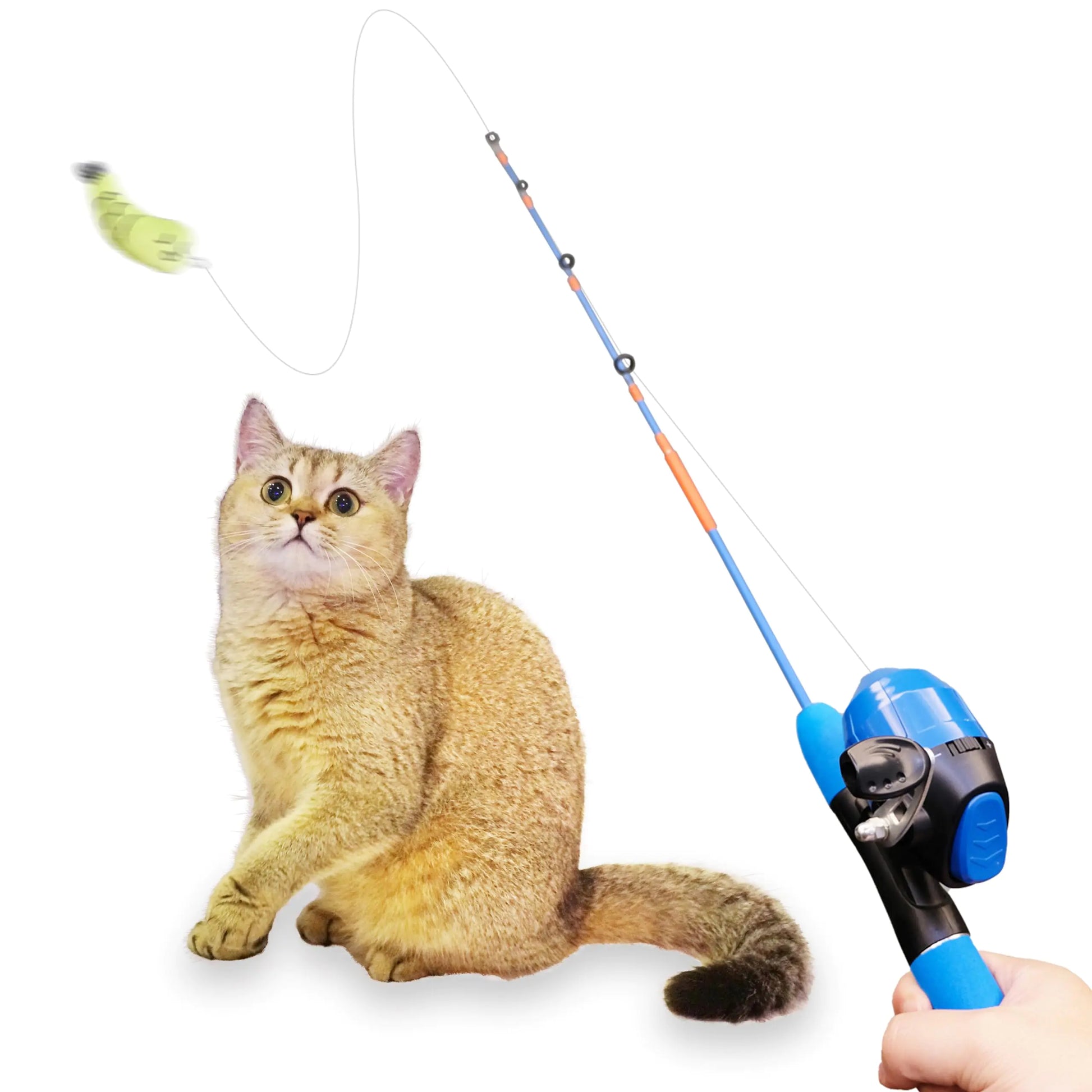 AGGER Cat Casting Fishing Pole Toy Cat Casting Toy Set Interactive Toy for Cats Tangle-Free Design Cat Toy for Indoor Outdoor Cats