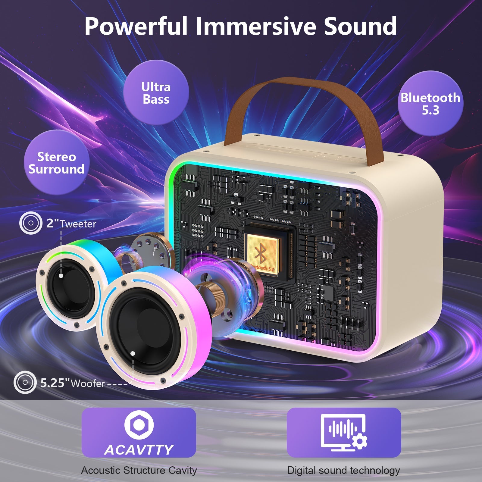 JYX D30 Karaoke With 2 Microphones&Bluetooth Speaker With Wireless