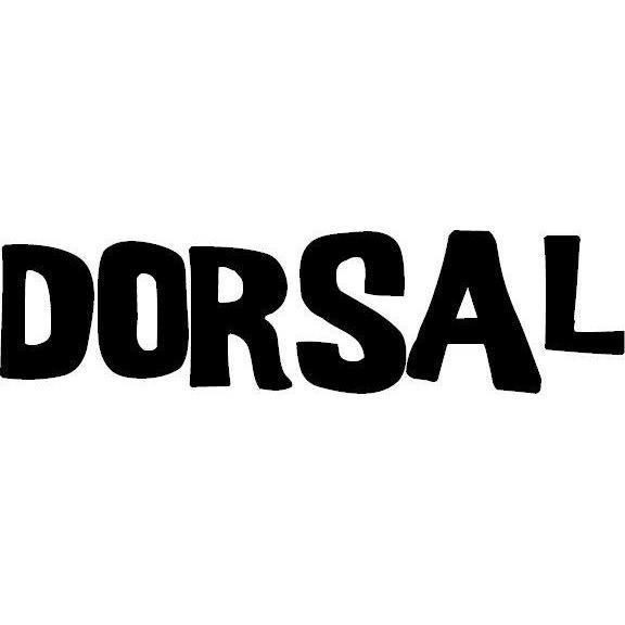 DORSAL Aero Roof Rack Pads 28 Inch Wide Blue 15 ft Straps for Car
