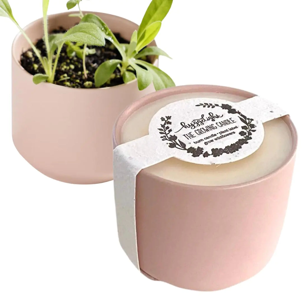The Growing Candle from Flame to Flower Rosemary & Sage Scented Non-Toxic 100% Soy Wax Indoor Wildflower Garden Aromatherapy Gift for Women 8oz 45 Hr Burn Time Adelyn