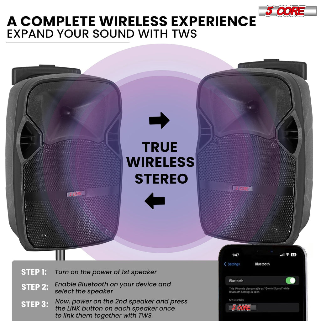 5Core 10 inch PA Portable Bluetooth Party Speaker Karaoke Boombox + 2