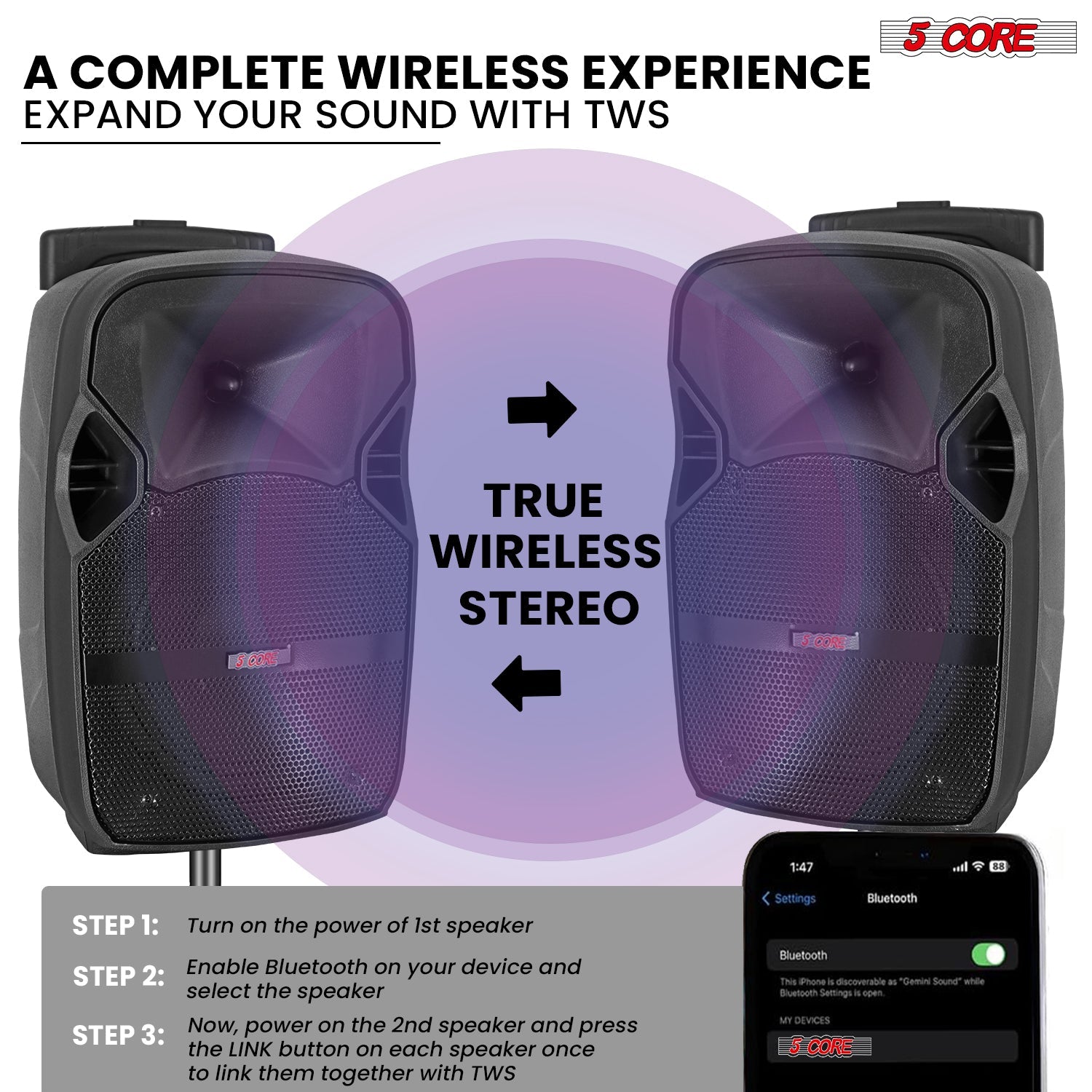 5Core 10 inch PA Portable Bluetooth Party Speaker Karaoke Boombox + 2