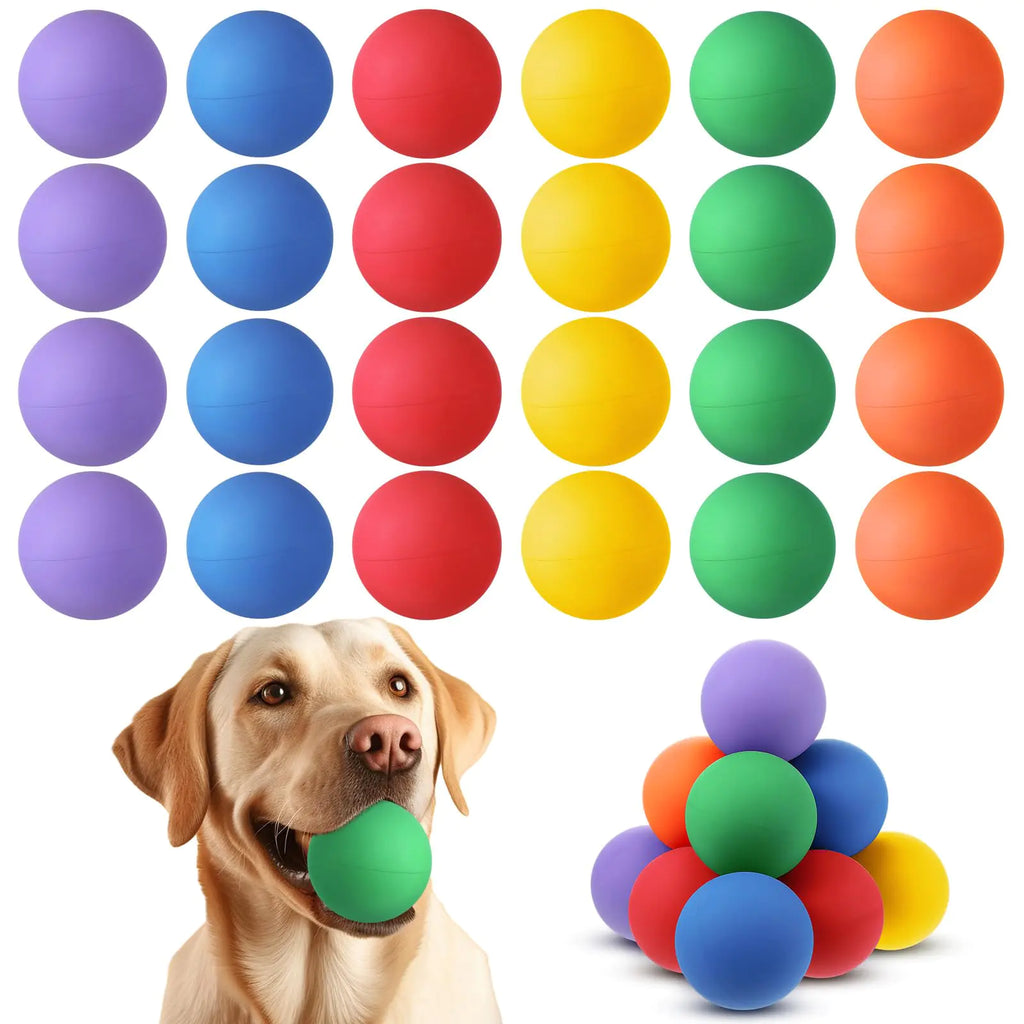 Shappy 24 Pieces Rubber Dog Balls Tennis Balls for Dog Colorful Catching Pet Dog Balls for Fetch Training 2.4 Inch Interactive Bounce and Floatable Dog Toy Balls for Park Beach